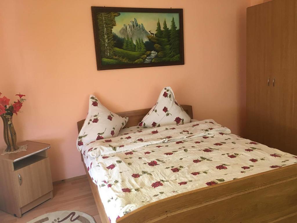 Pensiunea Vasilica Ceterasu Onceşti Dış mekan fotoğraf